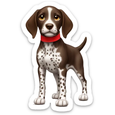 Brown spotted German short haired pointer puppy with ticking with red collar  sticker
