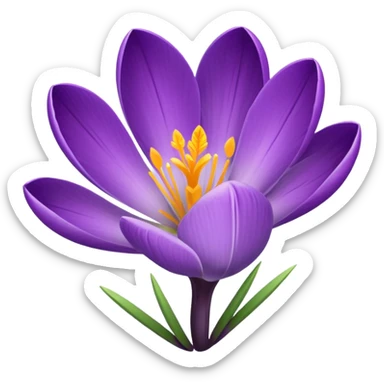 crocus flower sticker