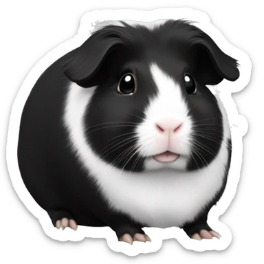 Sheba guinea pig black and white sticker