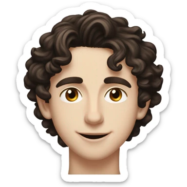 timothèe chalamet sticker