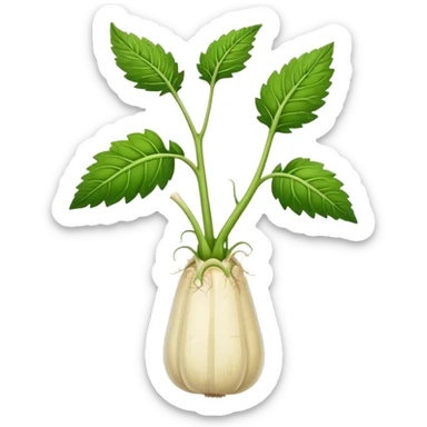 Horseradish plant  sticker