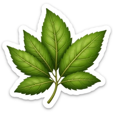 yerba mate leaf sticker