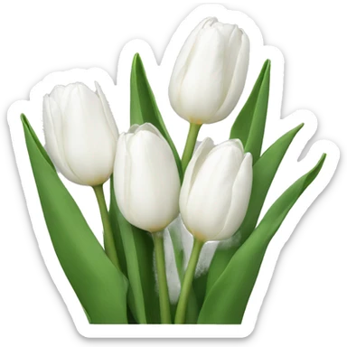 White tulips sticker
