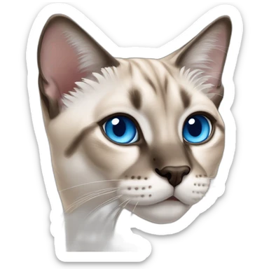 lynx-point-siamese-cat-blue-eyes sticker