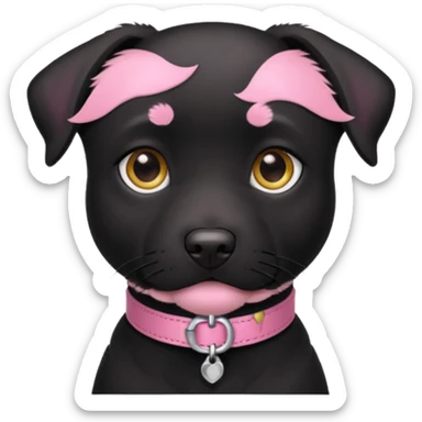 Black pit/lab mix wearing pink collar sticker