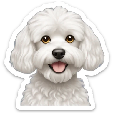 Dog, Maltese-poodle sticker