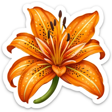 Tiger lily  sticker