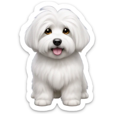 Coton de tulear dog sticker