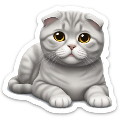 Gray Scottish fold laying  sticker