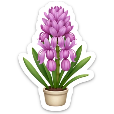 a light margenta  Hyacinth sticker