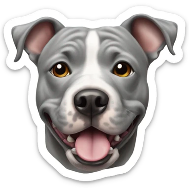 Grey Stafford shire bull terrier dog portrait sticker