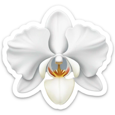 White orchids sticker