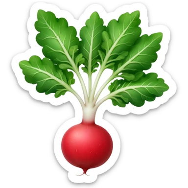 the actual radish compared to the leaves needs to be smaller, radish UK plant with a bit of white on the bottom of the radish sticker