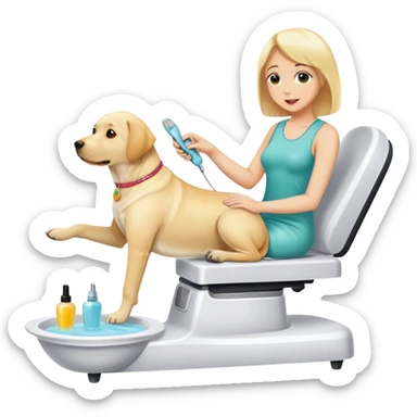 Yellow lab having a pedicure  sticker