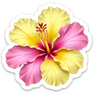 yellow and pink hibiscus flower sticker