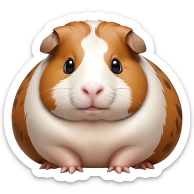 Cinematic Noble Brown and White Banded Guinea Pig Portrait Emoji, Poised and regal, with a compact, chubby build and a uniquely patterned coat of warm brown and crisp white banding, deep-set soulful dark eyes, Simplified yet sharp and sophisticated features, highly detailed, glowing with a soft, dignified glow, high shine, intelligent and charming, stylized with an air of distinctive elegance, focused and attentive, soft glowing outline, capturing the essence of a watchful and confident companion, so majestic it feels as though it could scurry out of the screen with effortless authority! sticker