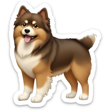 Finnish Lapphund Brown and light brown standing up sticker