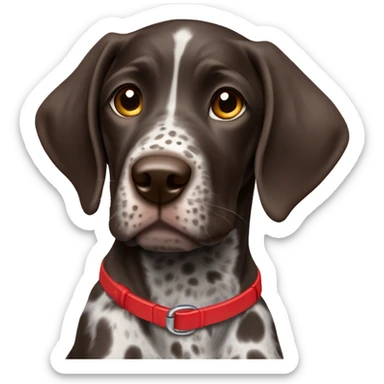 Dark Brown spotted German short haired pointer puppy with ticking with red collar  sticker