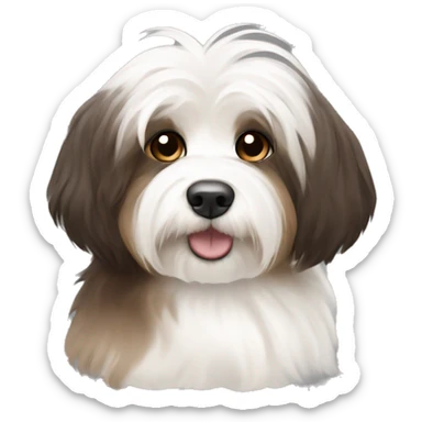 Dark Brown , light brown , and white havanese sticker