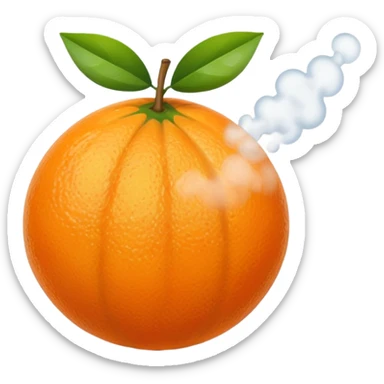 Orange fruit with steam flat  sticker