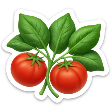 Spinach & tomato sticker