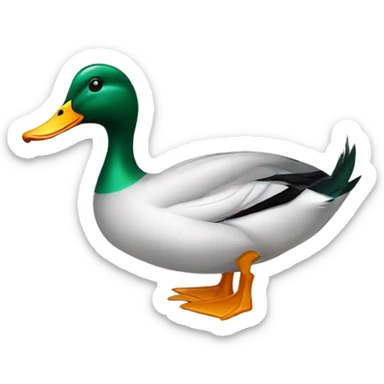 Arabian style duck sticker