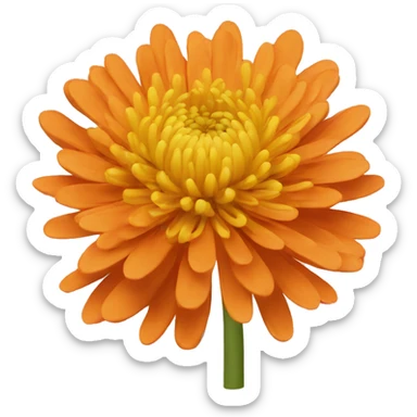 Orange chrysanthemum  sticker