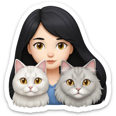 black hair girl with a grey longhair cat and a british white longhair and a british longhair golden cat sticker