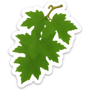 Grape leaves sticker