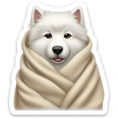 white samoyed cozy in beige blanket sticker