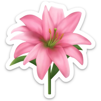 Pink lily plant sticker