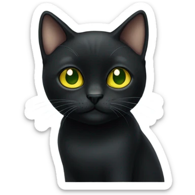 black shorthair cat with green-yellow eyes  sticker