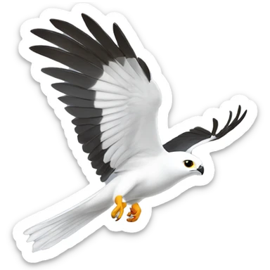 white-tailed kite bird in flight sticker
