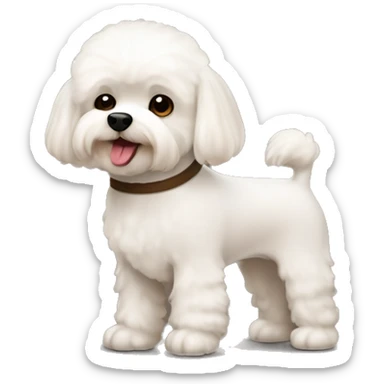 Bichon frise and yorkshire in brown sticker