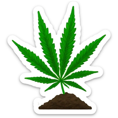 Cannabis plant sticker