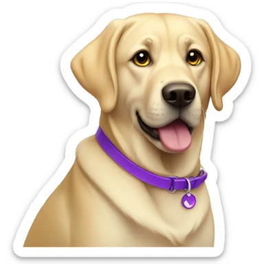 yellow lab with purple collar sticker