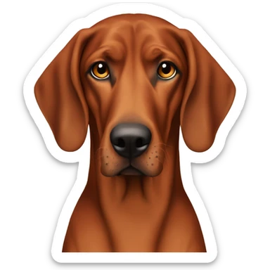 redbone coonhound with brown eyes  sticker