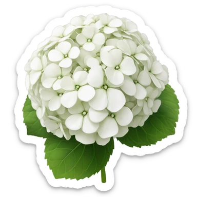 White hydrangea sticker