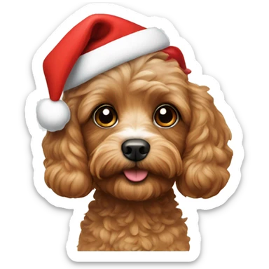 Cavapoo with a Christmas hat sticker