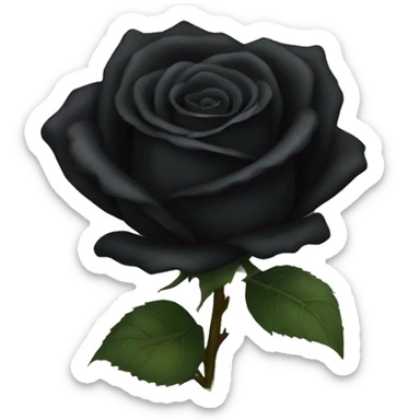 Black rose  sticker