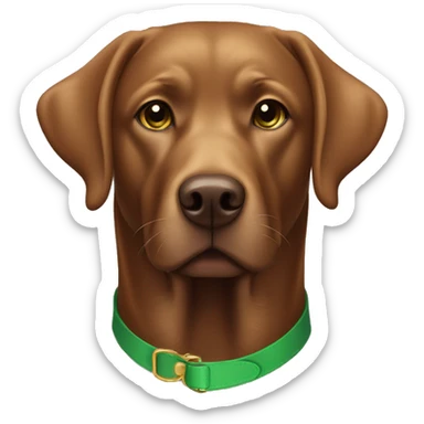 Light brown chocolate Labrador wearing green collar looking straight sticker