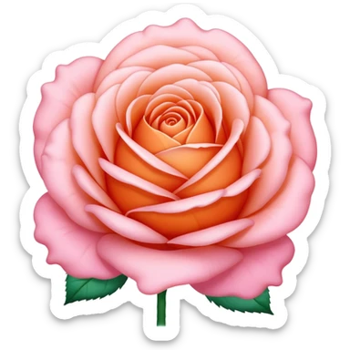 Cotton candy orange rose sticker