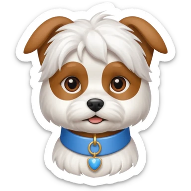 maltese with brown ears and a blue collar sticker