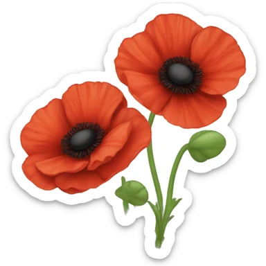 Coquelicot sticker