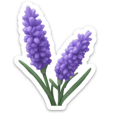lavender close-up sticker