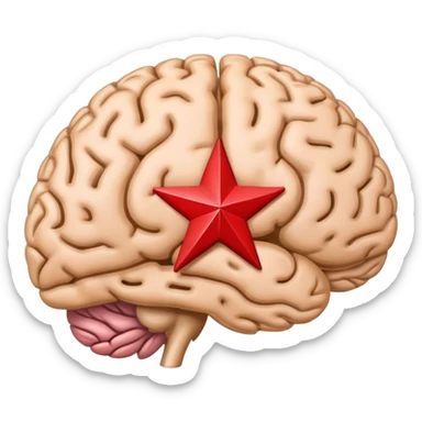 Create a brain that has the state of Texas on it  sticker