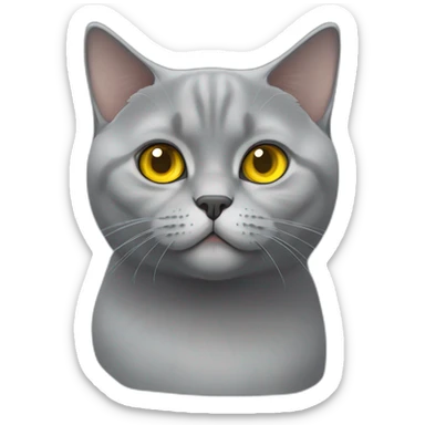 A british shorthair cat in schildpatt and with yellow eyes sticker