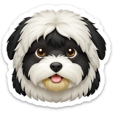 All black fur havanese sticker