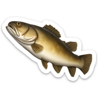 cod with bible sticker