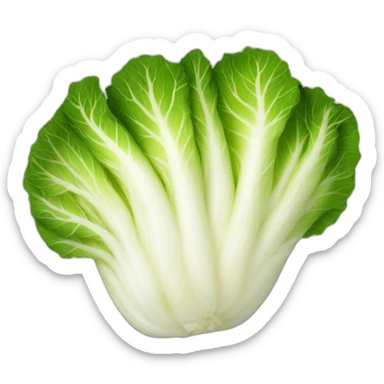 kimchi-korean-napa-cabbage sticker